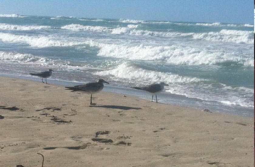 Lungomare di Ponente 02