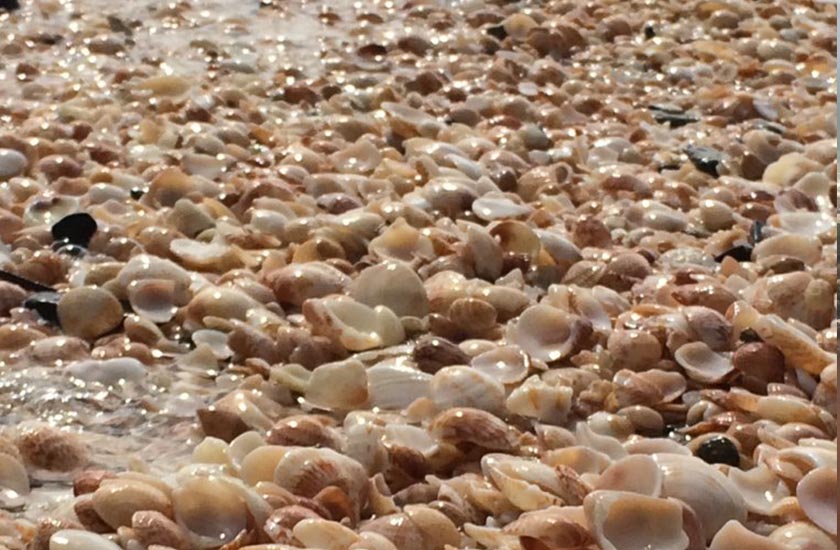 Lungomare di Ponente 07