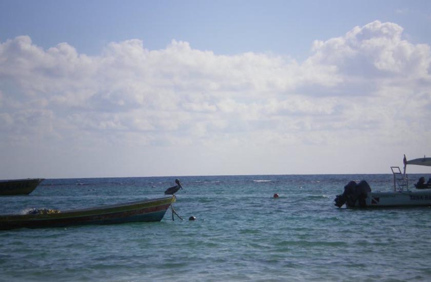 Lungomare di Ponente 10