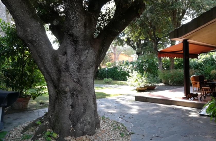 Villa unifamiliare via Belmonte Calabro 03